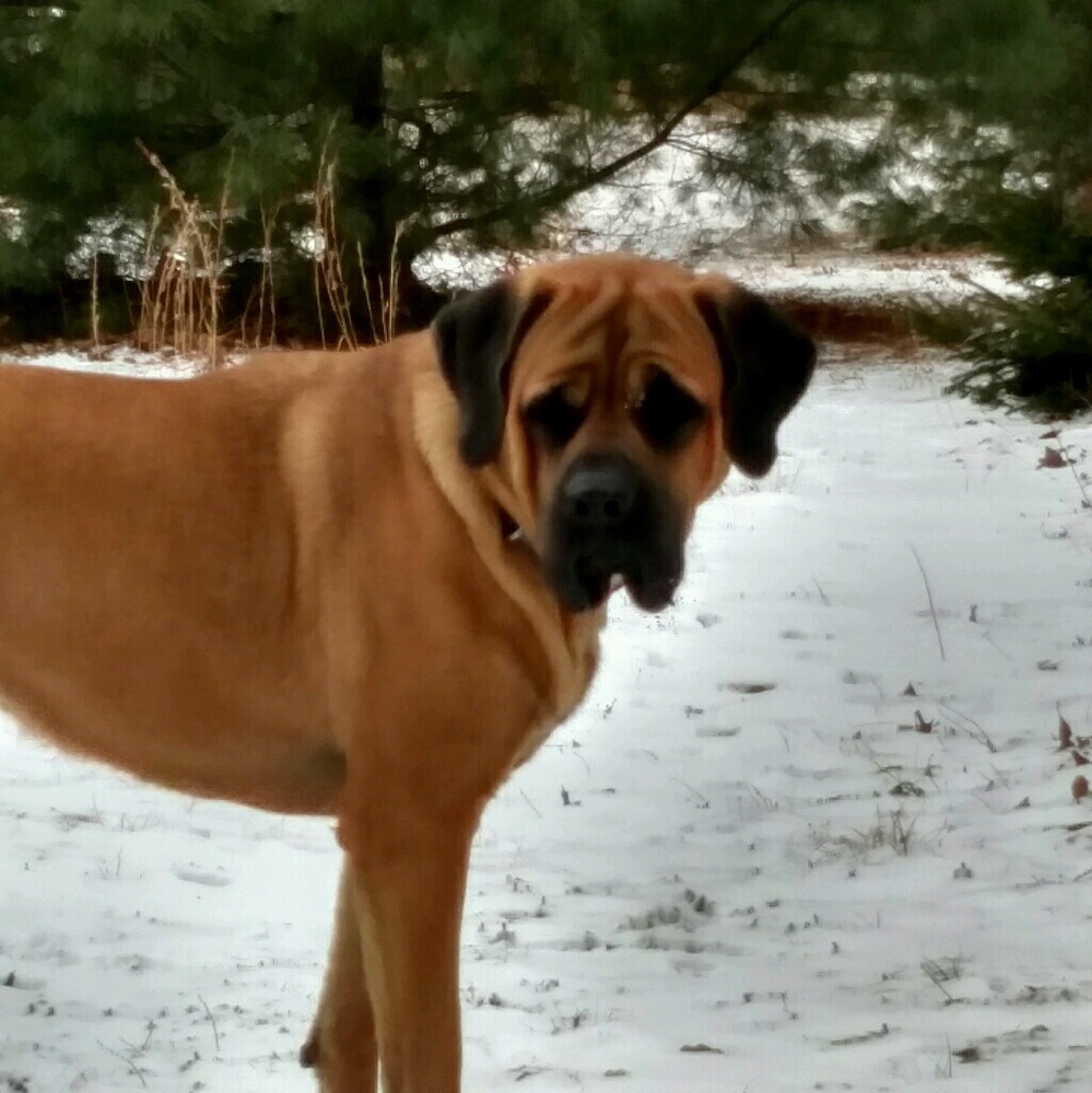 Meet your Posher, Bree